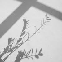 Post from Whispering Shadows