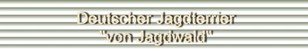 von Jagdwald यूट्यूब चैनल अवतार