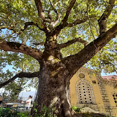 Athenian Jerusalem  Avatar