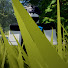 yNozYxKF2dY-channel-avatar-Hatch