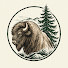 y1oxFM0cxtI-channel-avatar-Buffalo & Pine