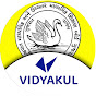 Vidyakul STD 9 Topper logo