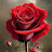 @KajalPaul-gx3gn Avatar