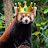 Photo of @EmperorRedpandaYT