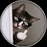4mG7p3aP_wY-channel-avatar-Glitch Zone 