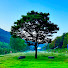 Channel Image