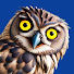 ERqV6Z2a2qE-channel-avatar-Tohtori Tolokku