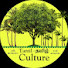 NGQIHhwwx7Y-channel-avatar-Tamil Culture