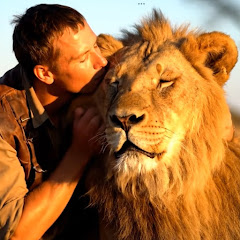 Friend Animals