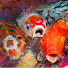 Z4XCzRA4-JU-channel-avatar-Yorkshire Koi