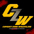 Hzr5gkRv6PQ-channel-avatar-CZW