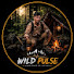 OSNxGKKN4_Q-channel-avatar-WILD PULSE_2026