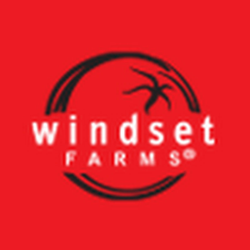 WindsetTV