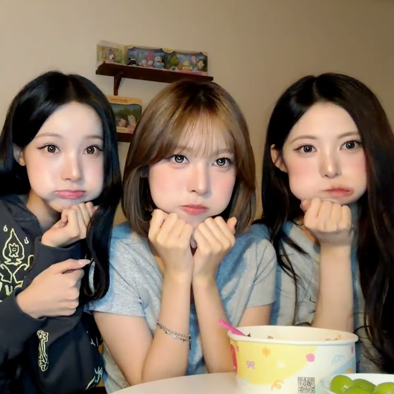 리센느 모음집