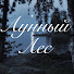 JsazP7tgnps-channel-avatar-Лунный лес 