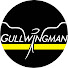 a-NcYdS3JKA-channel-avatar-Gullwingman