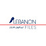 sUMyr90azvs-channel-avatar-Lebanon Files