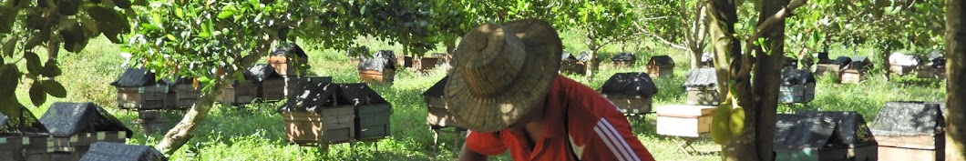 Khmer beekeeping رمز قناة اليوتيوب