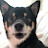 @cocopeace-i1c