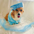 HLkSrPEVgrE-channel-avatar-CORGI ♡ CHRONICLES