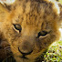 4Je3gICBJSQ-channel-avatar-Natural Amazement