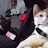 @athecheats-cats