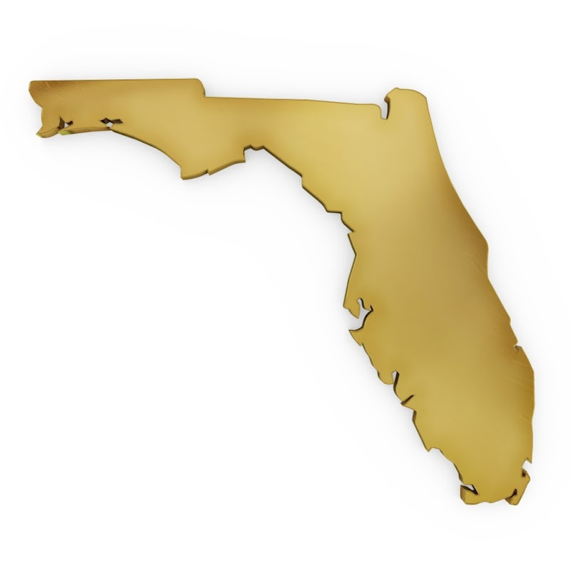 Tampa Bay MoFo