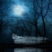 ~I'm a Ghost~