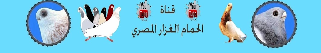 قناة الحمام الغزار المصري الاصيل YouTube channel avatar