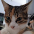 zE0H83bMYZ4-channel-avatar-Adriana Horna