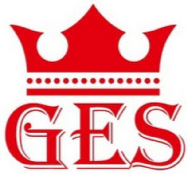 Grinyov Energy Solution Logo