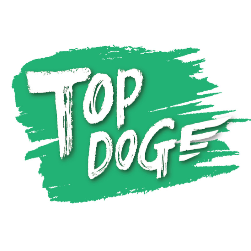 TOP DOG回家 YouTube 頻道頭像