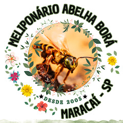 Meliponario Abelha Bora channel logo