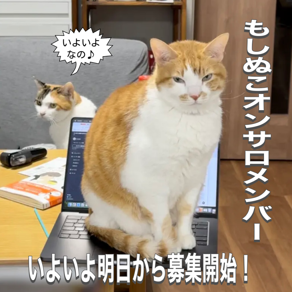猫あるあるソング - もしぬこ - YouTube