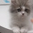 @별이내리는밤