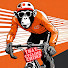 TNRgzOMX7_M-channel-avatar-That Cycling Chimp