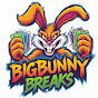 BigBunny Breaks  logo