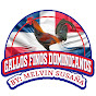 Gallos Melvin Susaña R.D logo