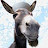 @AbdulDonkey