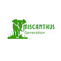 Miscanthus Generation