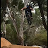YmYjB21DLSM-channel-avatar-DirtJumpingFarmer