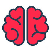 Аватар канала Media Buyer Mind Shift