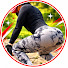f7U3KKuyZjs-channel-avatar-Jodele fit
