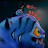 @1111gg-k7o