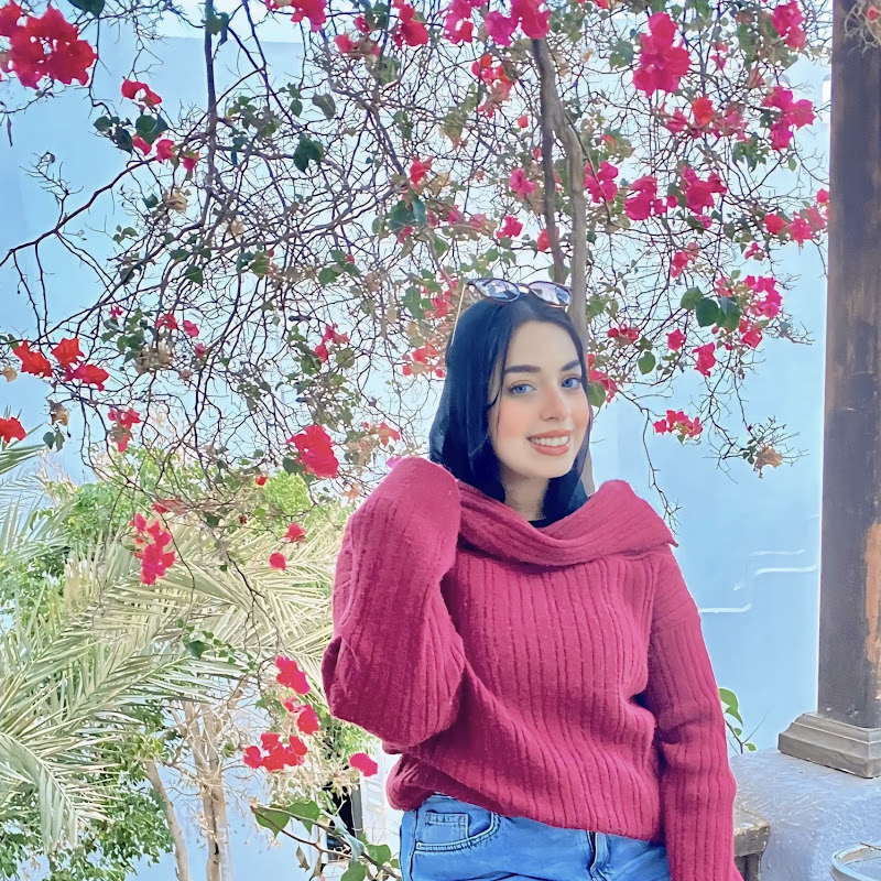 الاء الراوي | alaa elrawy 