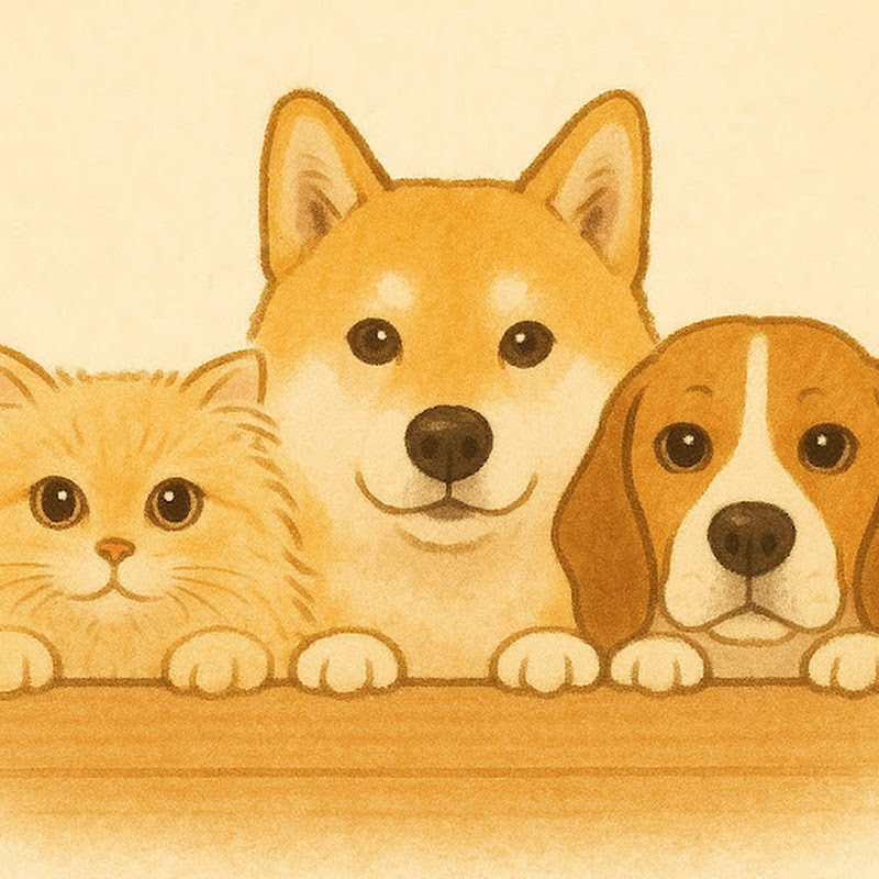 Shibainu Punchanのサムネイル