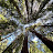@DigitalZeros Avatar