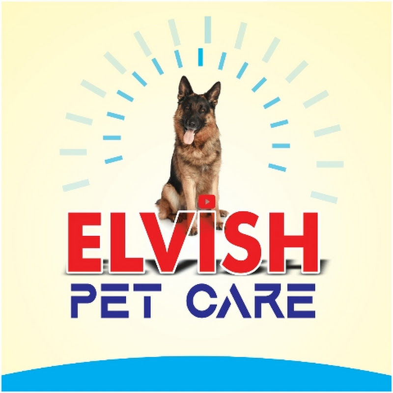 Elvish pet care