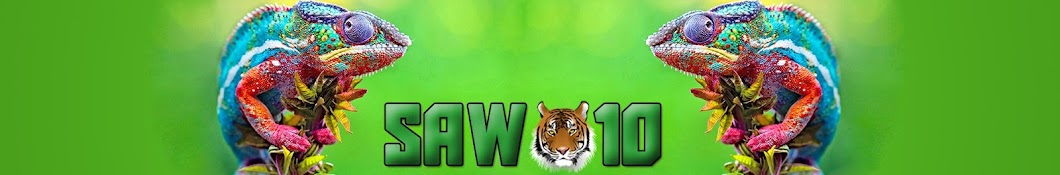 SAW10 YouTube channel avatar