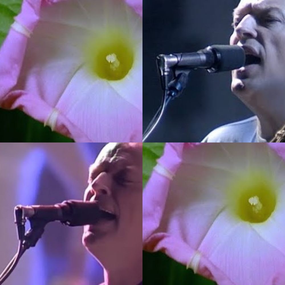 Pink Floyd - P.U.L.S.E. Restored & Re-Edited (2022)